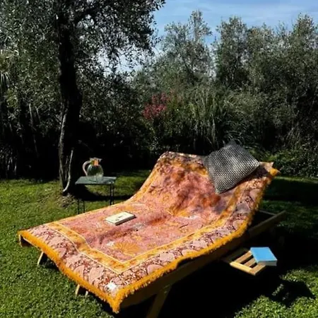 Stillvolles Zwischen Lucca Und Versilia