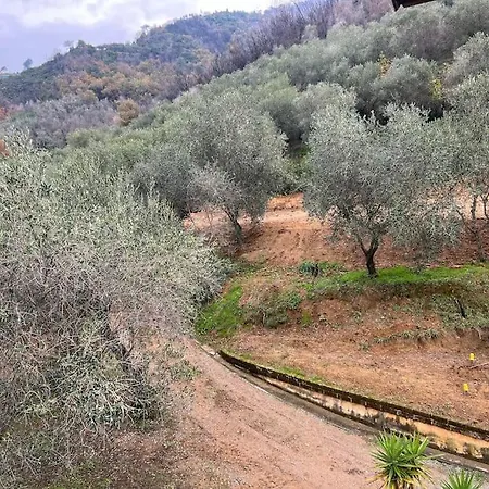 Stillvolles Zwischen Lucca Und Versilia Holiday home *