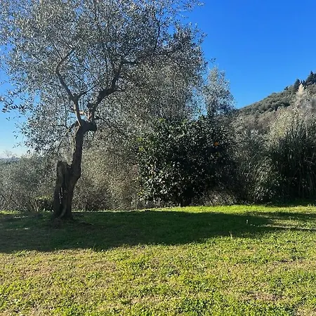 Stillvolles Zwischen Lucca Und Versilia Holiday home Montigiano